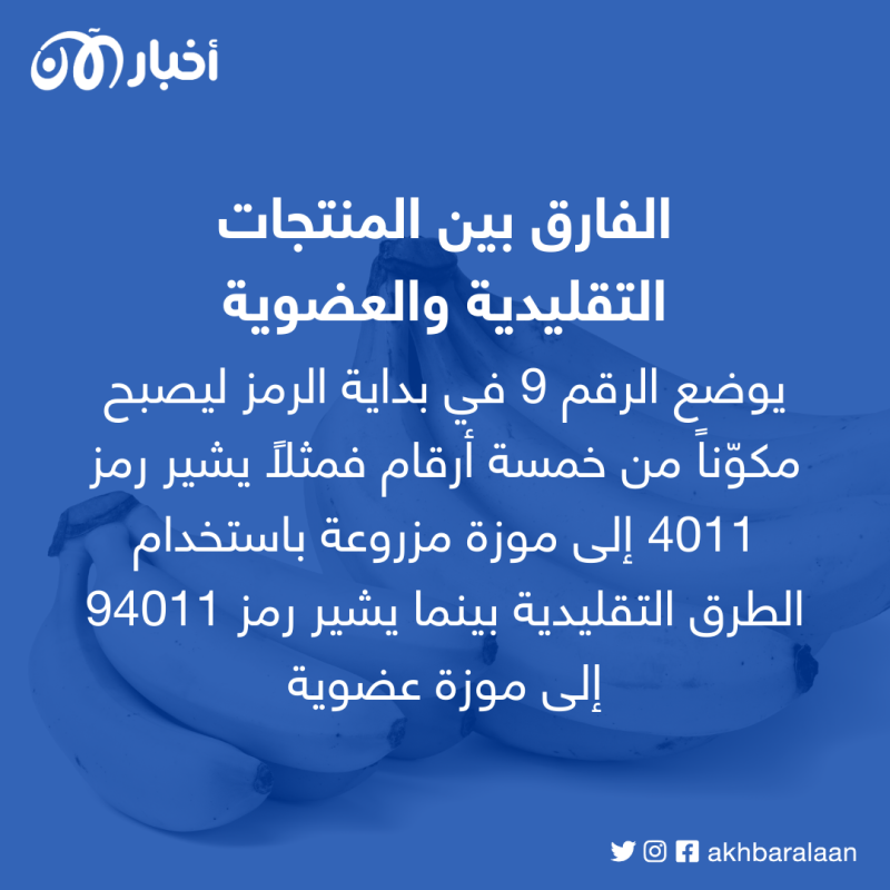 الفواكه والخضروات.. علامَ تدل الأرقام الموجودة على ملصقاتها؟