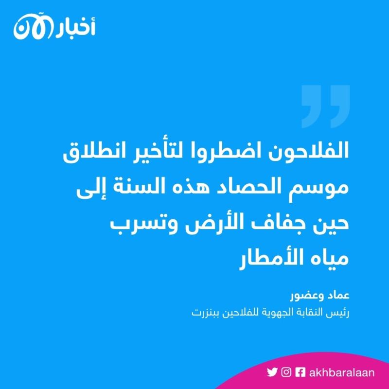 تأخر في موسم حصاد الحبوب في تونس.. فما السبب وكيف يؤثر ذلك على المحصول؟
