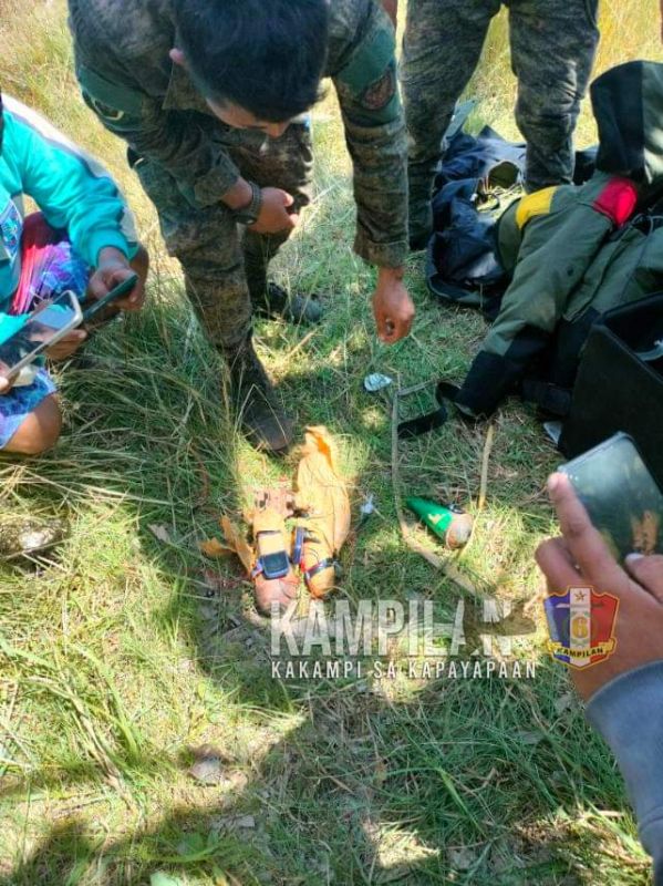 مجموعة إرهابية لداعش حاولت تفجير برج نقل الطاقة في الفلبين.. فماذا حدث؟