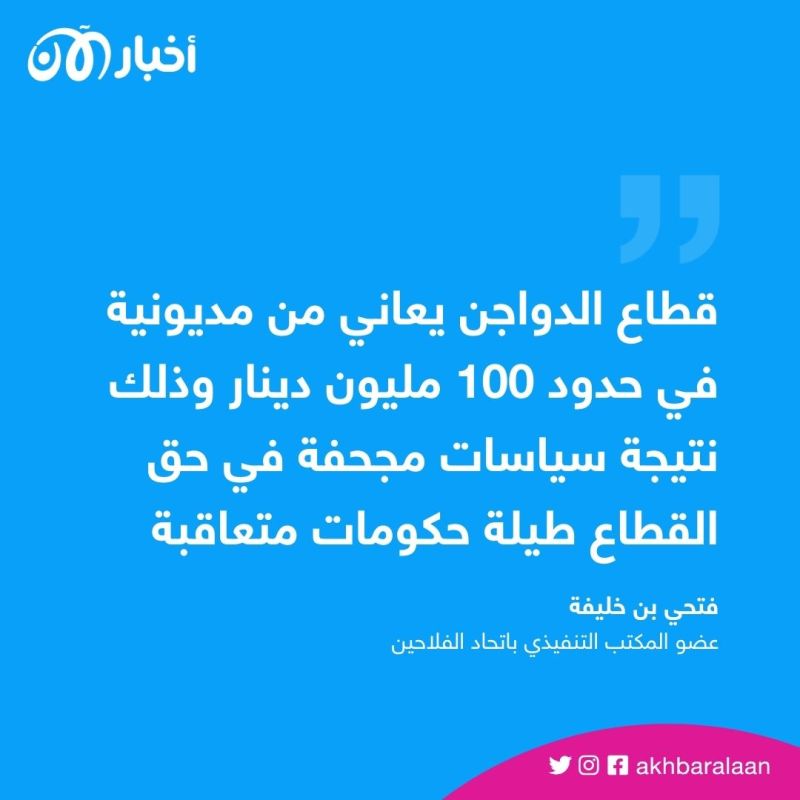 100 مليون دينار مديونية قطاع الدواجن في تونس.. ما هي الأسباب والحلول؟