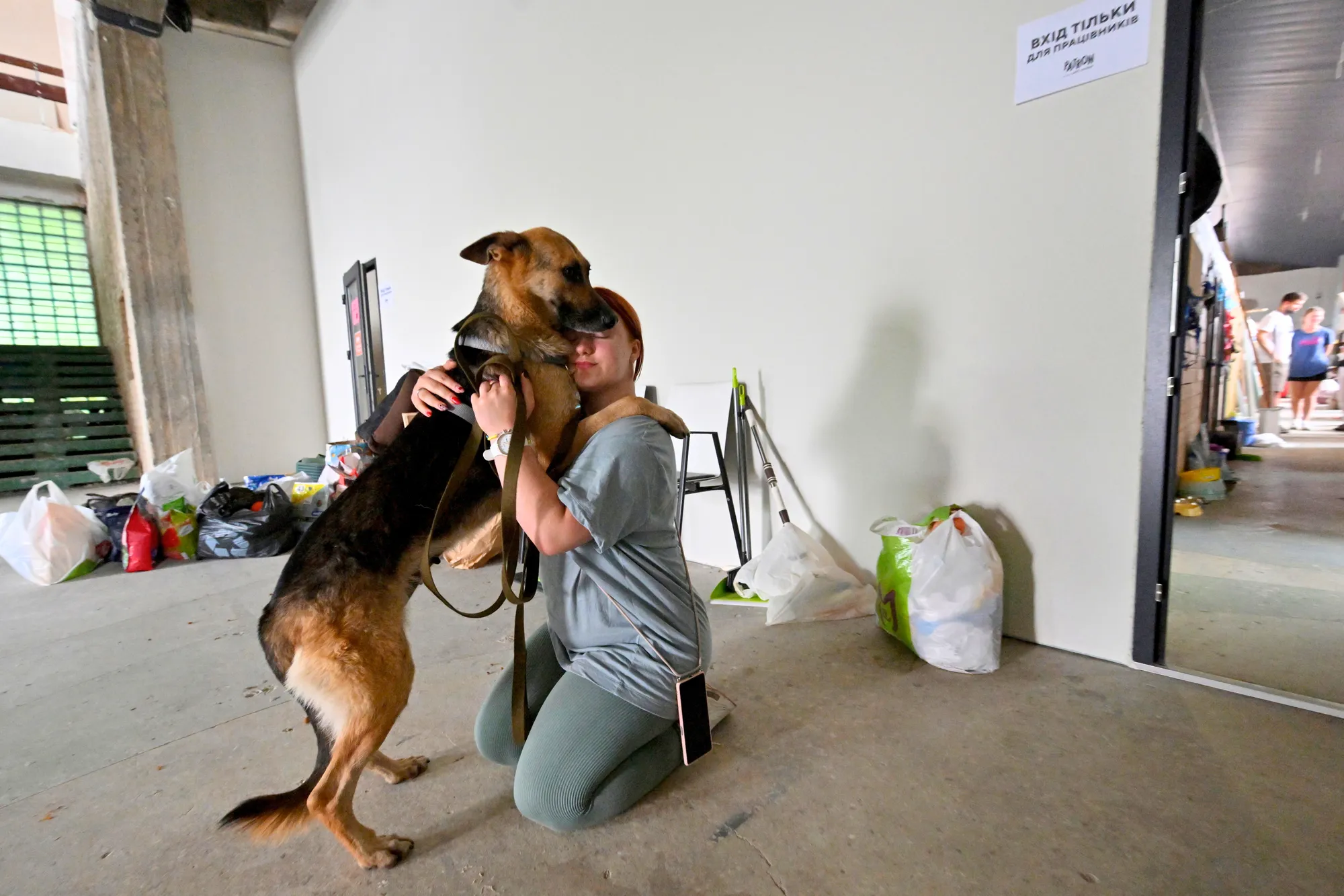 بعد تدمير سد كاخوفكا.. ملجأ في كييف يستضيف القطط والكلاب 1 بعد تدمير سد كاخوفكا.. ملجأ في كييف يستضيف القطط والكلاب