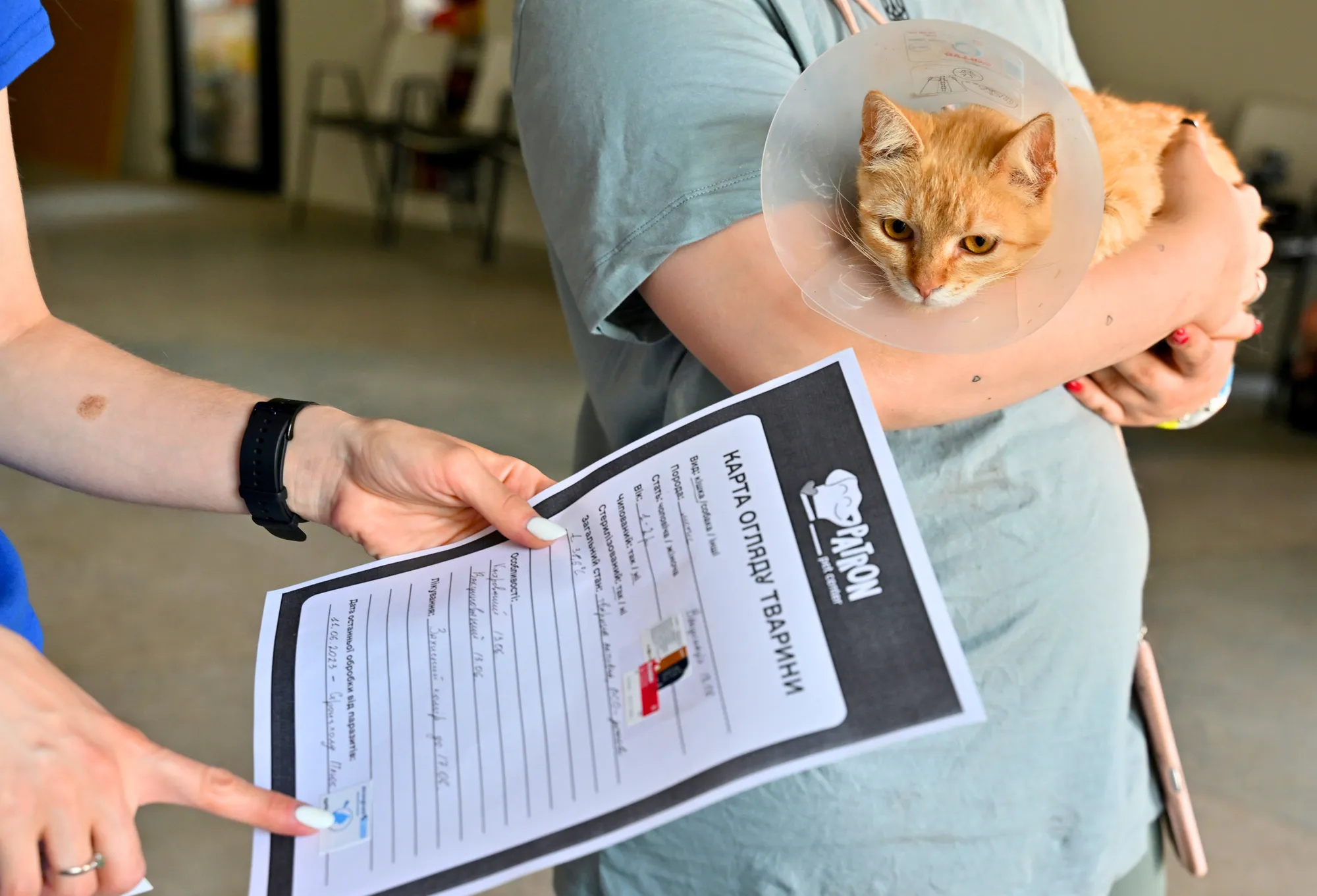 بعد تدمير سد كاخوفكا.. ملجأ في كييف يستضيف القطط والكلاب 3 بعد تدمير سد كاخوفكا.. ملجأ في كييف يستضيف القطط والكلاب