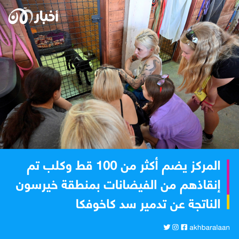 بعد تدمير سد كاخوفكا.. ملجأ في كييف يستضيف القطط والكلاب 4 بعد تدمير سد كاخوفكا.. ملجأ في كييف يستضيف القطط والكلاب