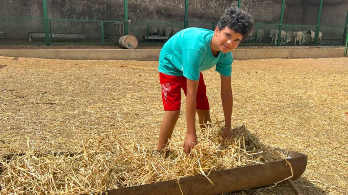 "سعر الخروف يضاهي مرتب موظف".. الأسعار الجنونية للأضاحي في تونس تفسد بهجة العيد 3 "سعر الخروف يضاهي مرتب موظف".. الأسعار الجنونية للأضاحي في تونس تفسد بهجة العيد