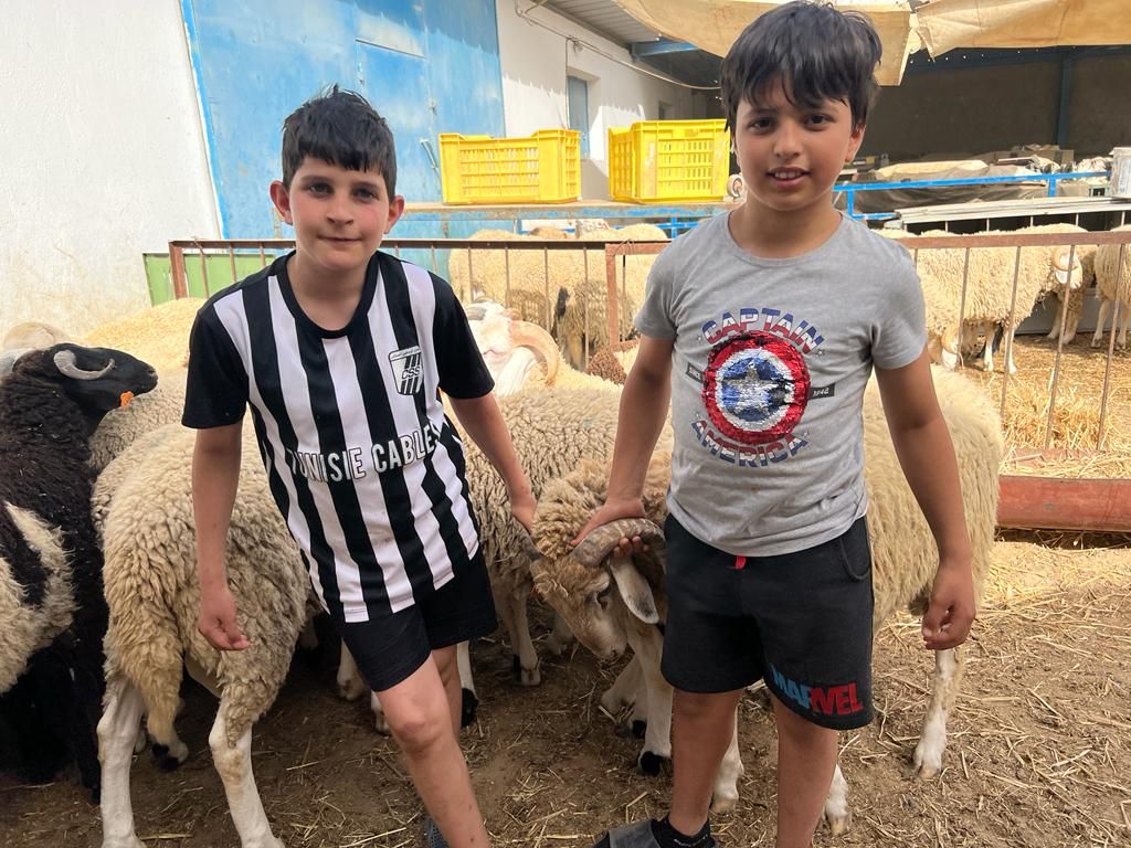 "سعر الخروف يضاهي مرتب موظف".. الأسعار الجنونية للأضاحي في تونس تفسد بهجة العيد 9 "سعر الخروف يضاهي مرتب موظف".. الأسعار الجنونية للأضاحي في تونس تفسد بهجة العيد