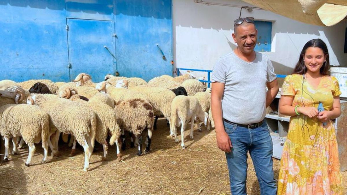 "سعر الخروف يضاهي مرتب موظف".. الأسعار الجنونية للأضاحي في تونس تفسد بهجة العيد 4 "سعر الخروف يضاهي مرتب موظف".. الأسعار الجنونية للأضاحي في تونس تفسد بهجة العيد