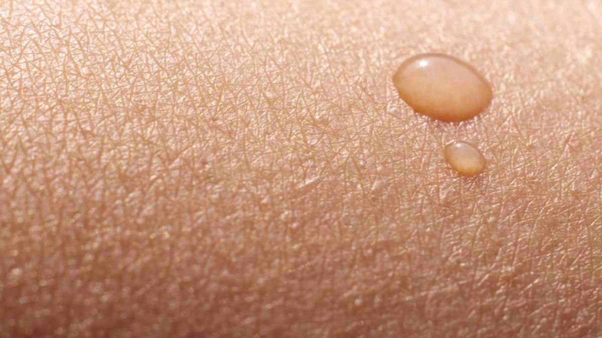 تعرف معنا على أثقل أعضاء جسم الإنسان 1 الجلد