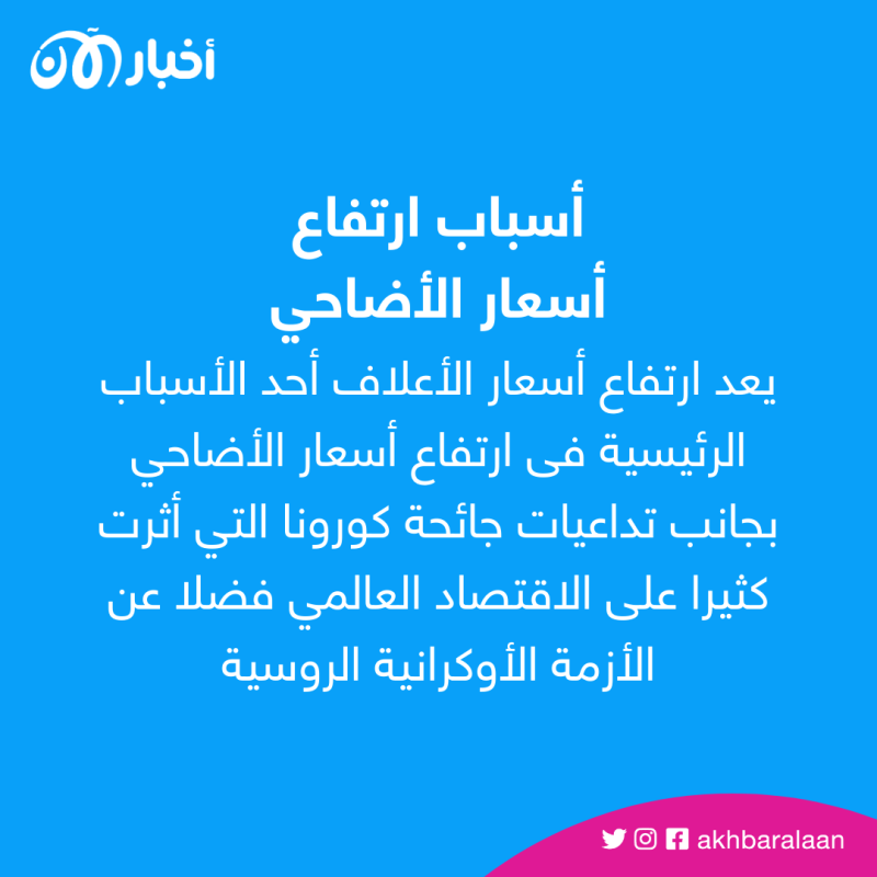 زيادة بأكثر من 300 دولار.. كيف تغيرت أسعار الأضحية هذا العام بالدول العربية؟ 1 زيادة بأكثر من 300 دولار.. كيف تغيرت أسعار الأضحية هذا العام بالدول العربية؟