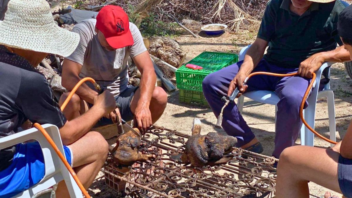 بالصور.. تعرف إلى عادات التونسيين في عيد الأضحى