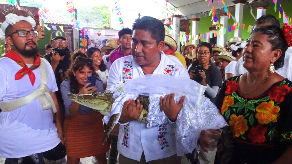 مسؤول في المكسيك يتزوج من أنثى تمساح (صور)