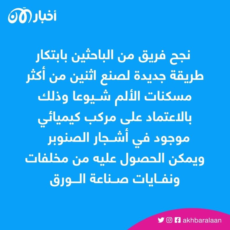 أدوية مسكنة للألم من نفايات الورق 1 أدوية مسكنة للألم من نفايات الورق