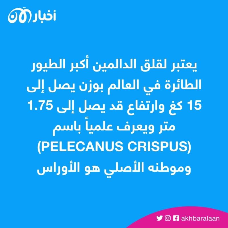 تعرف على أكبر طيور الكرة الأرضية 4 تعرف على أكبر طيور الكرة الأرضية