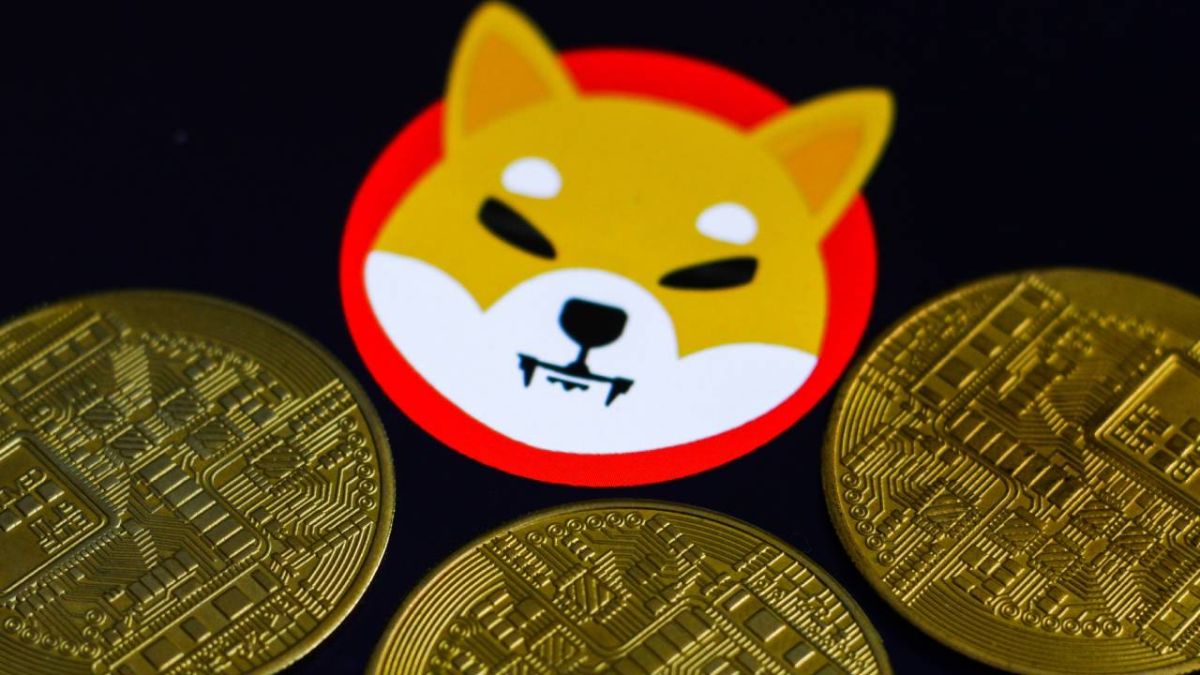 ما هي عملة شيبا؟