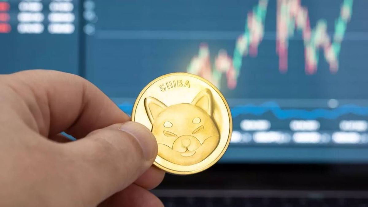 لماذا تستخدم عملة شيبا الإلكترونية 