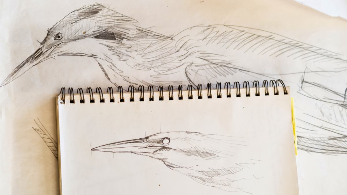 هل يمكنك إتقان الرسم حتى لو لم تكن لديك الموهبة؟ 5 تعلم كيفية الرسم حتى لو لم يكن لديك الموهبة