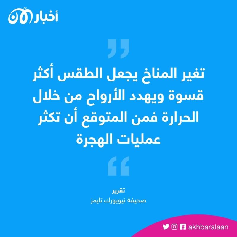 ارتفاع درجات الحرارة لن يقف عند الحرائق.. تحذير من مخاطر جديدة 1 ارتفاع درجات الحرارة لن يقف عند الحرائق.. تحذير من مخاطر جديدة