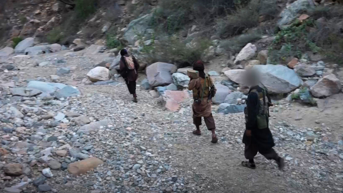 القاعدة في اليمن تنشر صور عناصرها المشاركين في هجوم شبوة الأخير