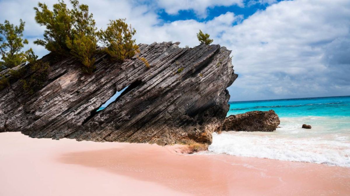 شاطئ هورسشو باي في برمودا