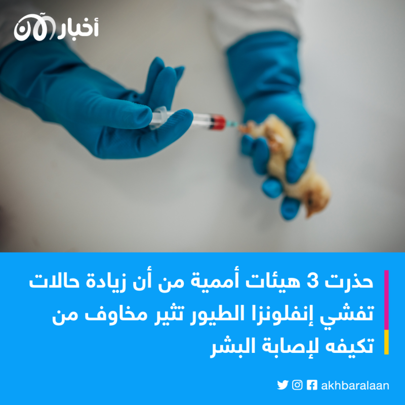 لأول مرة منذ 2016.. كوريا الجنوبية تعلن إصابتين بإنفلونزا الطيور