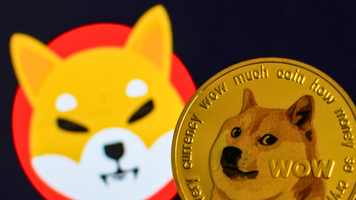 كل ما تحتاج لمعرفته عن عملة شيبا الإلكترونية