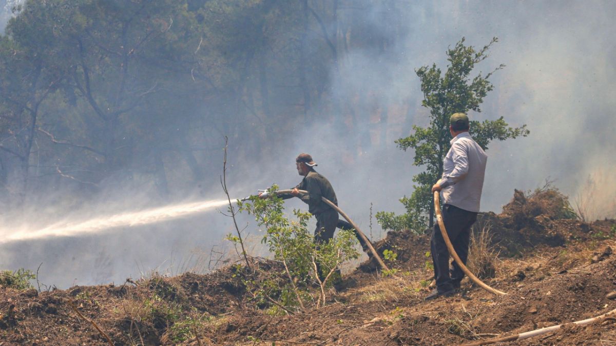 بالصور.. الحرائق تلتهم غابات في اللاذقية السورية