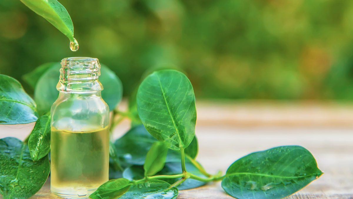 قشر الشعر.. ما هي أسبابه وكيف يمكن التخلص منه؟ 3 قشر الشعر.. ما هي أسبابه وكيف يمكن التخلص منه؟