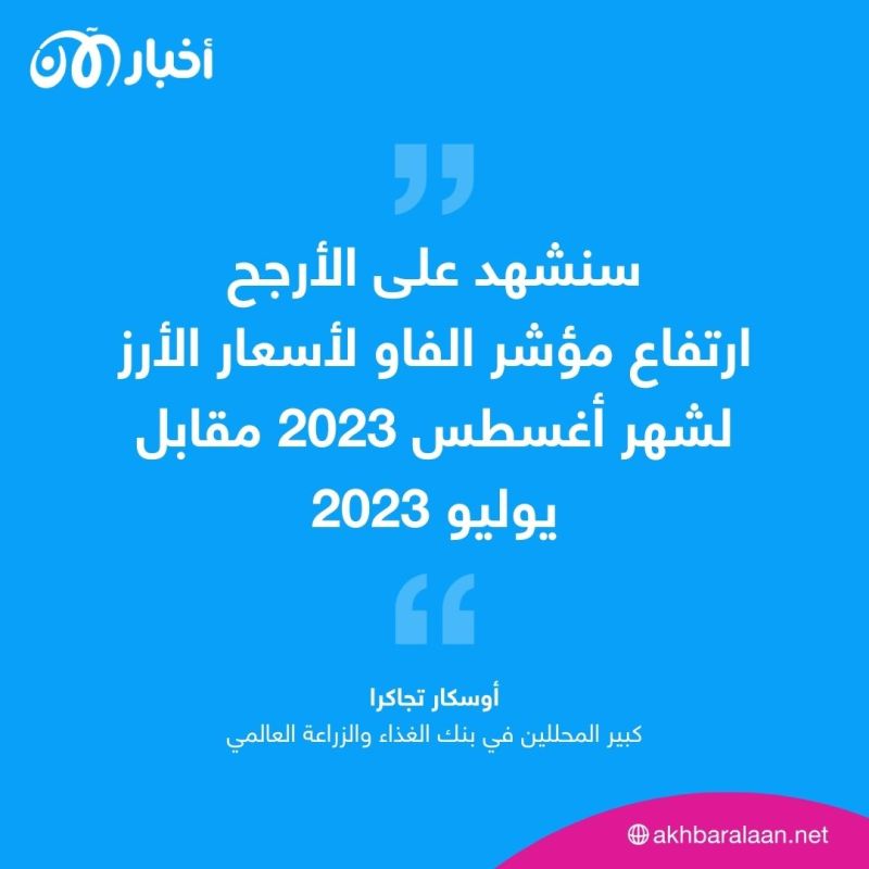 أسعار الأرز تقفز لأعلى مستوى منذ 12 سنة.. كيف سيتأثر الأمن الغذائي العالمي؟