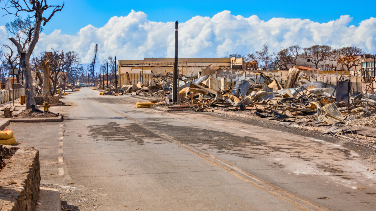 بعد تجاوز الـ 100 قتيل.. بايدن يزور المناطق المنكوبة بفعل الحرائق في هاواي