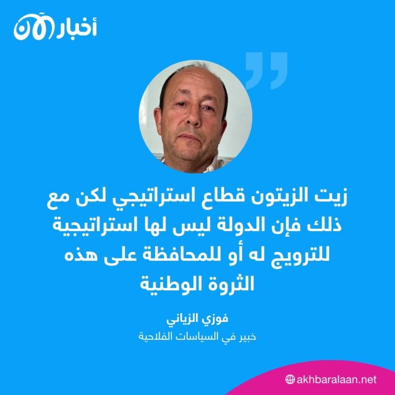 تونس تشهد ارتفاعًا جنونيًا في أسعار زيت الزيتون.. خبير يكشف لـ ”أخبار الآن“ الأسباب