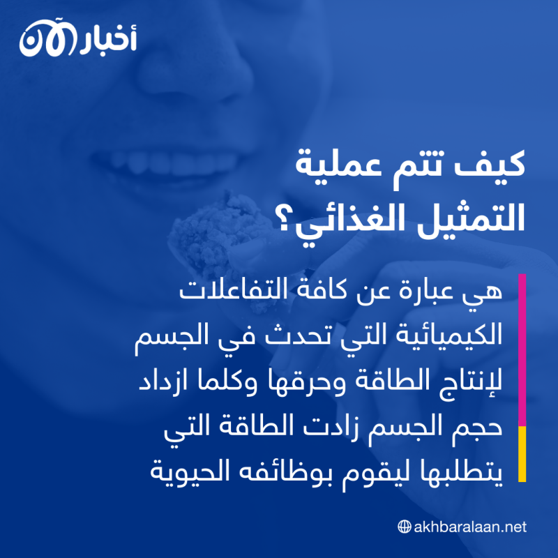 هل يجب أن نقلق بشأن تناول الوجبات الخفيفة؟ 2 هل يجب أن نقلق بشأن تناول الوجبات الخفيفة؟