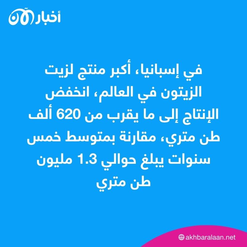 ضربة قوية لمحاصيل الزيتون والطماطم.. كيف ارتفعت الأسعار 400%؟