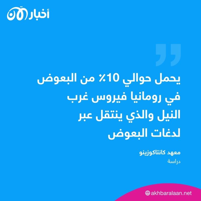 ثلاثة وفيات بسبب فيروس "غرب النيل".. ما علاقة البعوض؟ 1 ثلاثة وفيات بسبب فيروس "غرب النيل".. ما علاقة البعوض؟