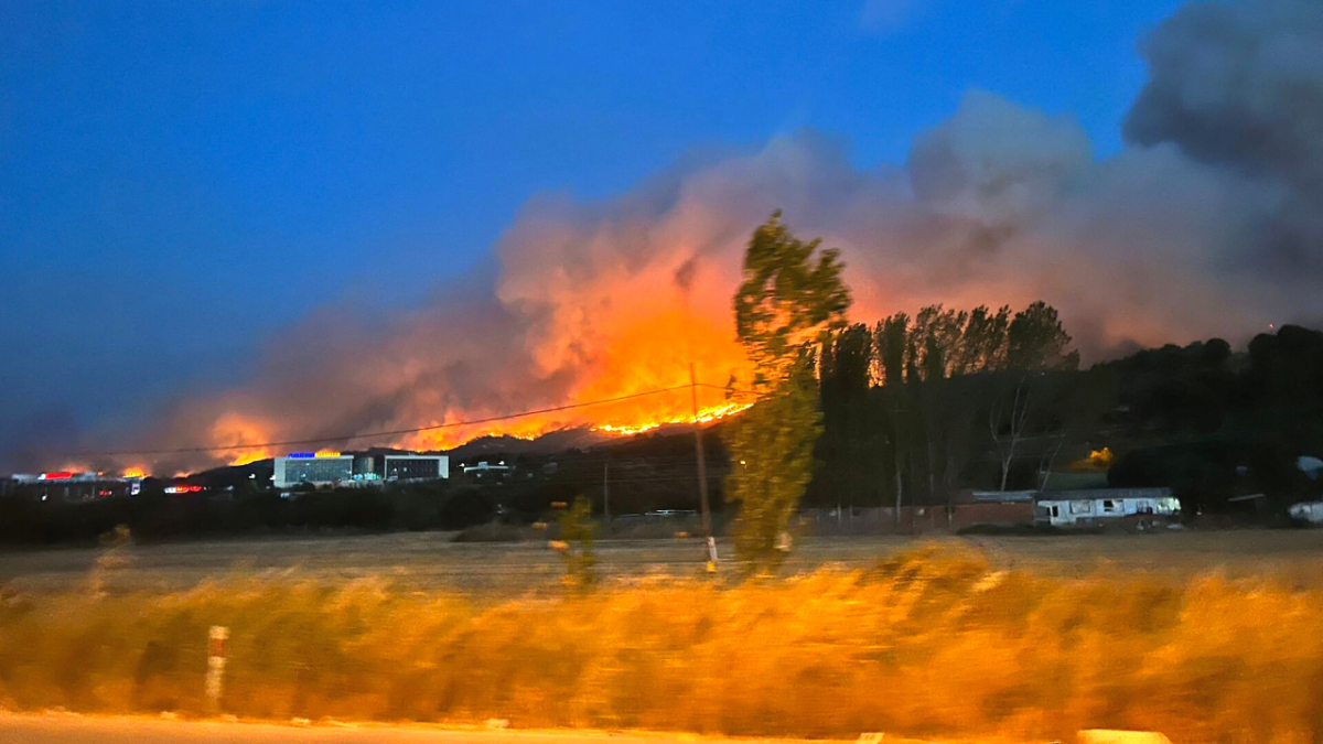 أزمة المناخ.. الحرائق تنتشر بغابات تشاناكلي في تركيا 1 الحرائق تنتشر في غابات كاناكالي- رويترز