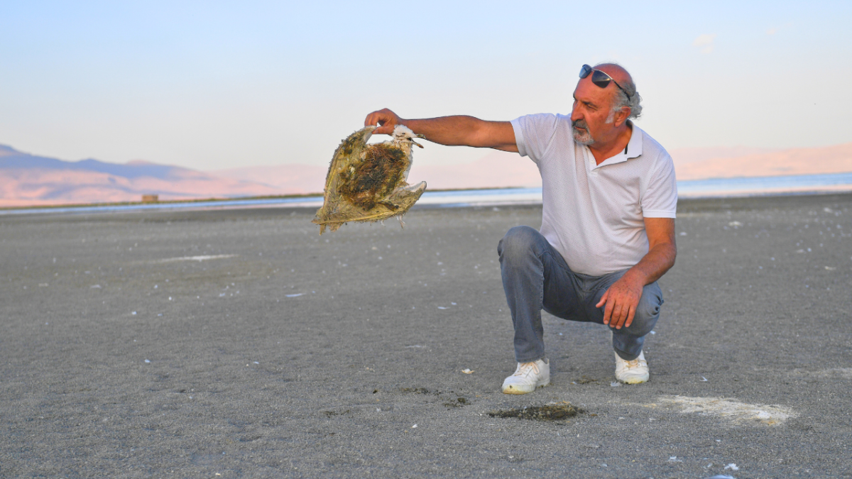 الجفاف يقضي ببطء على أكبر بحيرة في تركيا.. ما القصة؟ 5 الجفاف يقضي ببطء على أكبر بحيرة في تركيا.. ما القصة؟