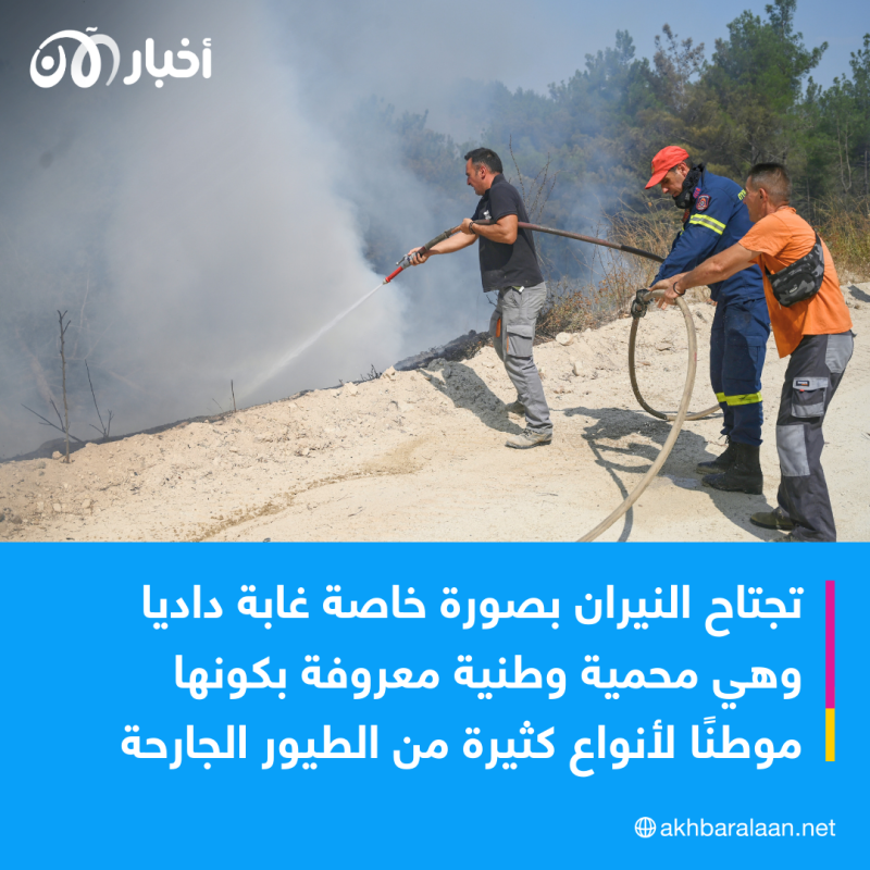 لليوم التاسع.. مئات عناصر الإطفاء يواصلون مكافحة النيران في اليونان