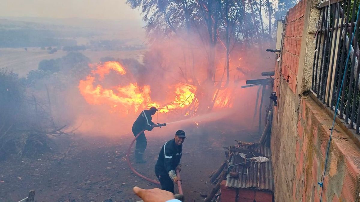 اندلاع 10 حرائق في مناطق مختلفة في تونس