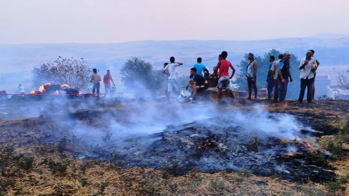 بسبب الحرائق في تونس.. إجلاء 11 عائلة من منازلهم 3 بسبب الحرائق في تونس.. إجلاء 11 عائلة من منازلهم