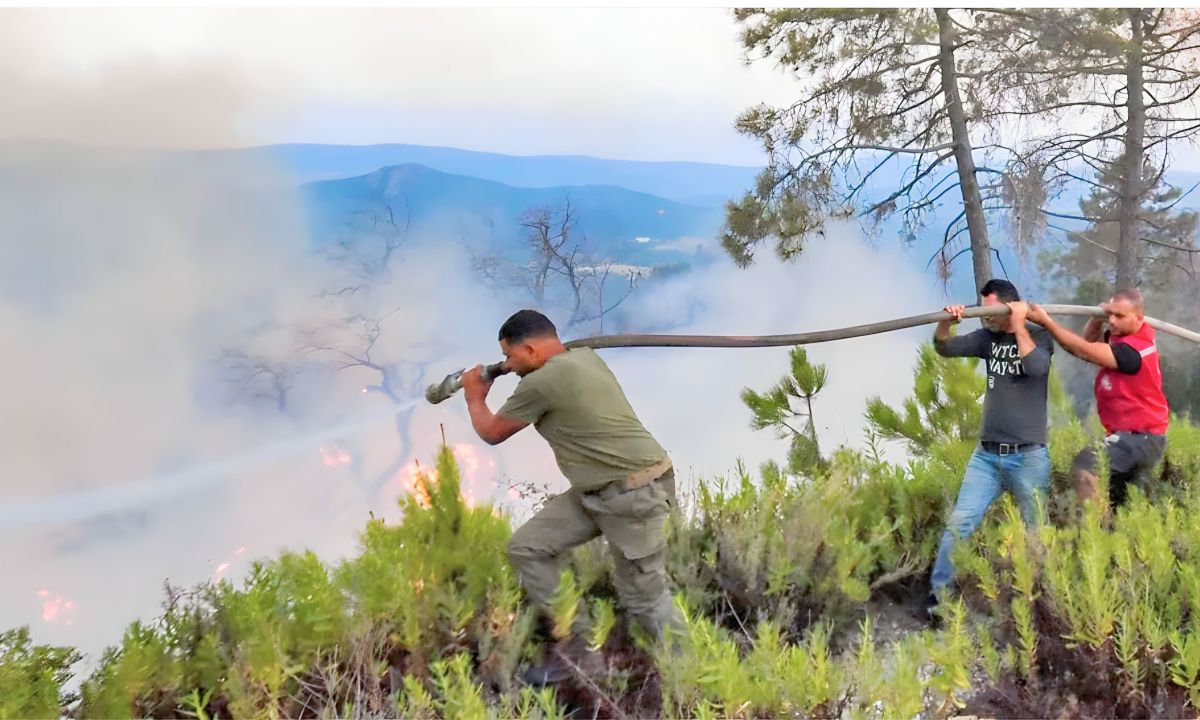 5 ملايين دولار خسائر تونس جراء الحرائق.. حكيم وعادل يدفعان الفاتورة الأكبر ويخسران حلمهما 1 5 ملايين دولار خسائر تونس جراء الحرائق.. حكيم وعادل يدفعان الفاتورة الأكبر ويخسران حلمهما