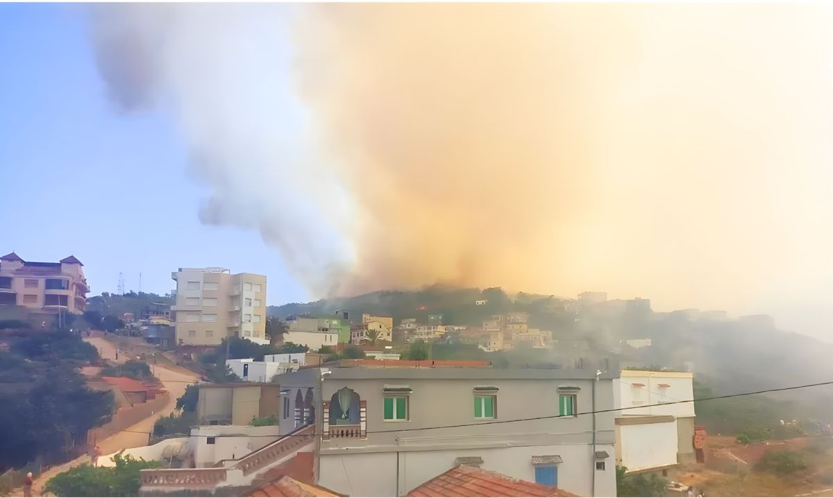 5 ملايين دولار خسائر تونس جراء الحرائق.. حكيم وعادل يدفعان الفاتورة الأكبر ويخسران حلمهما 3 5 ملايين دولار خسائر تونس جراء الحرائق.. حكيم وعادل يدفعان الفاتورة الأكبر ويخسران حلمهما