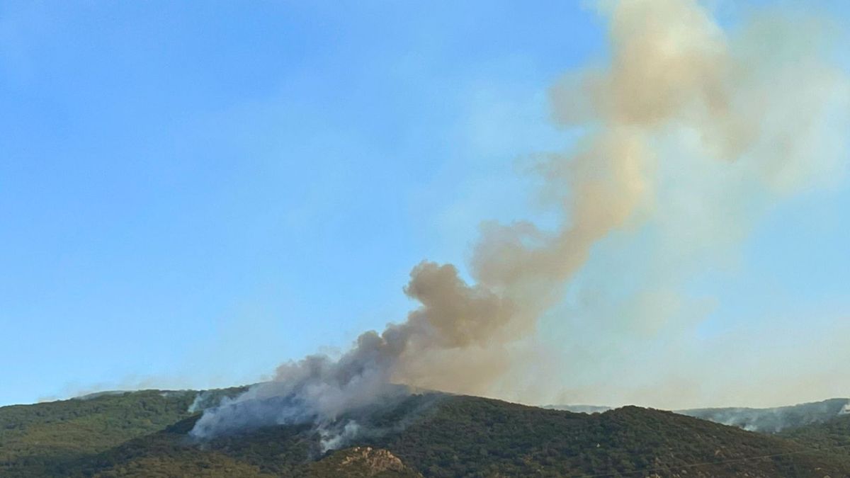 صاحب مشروع المنجا الوحيد في تونس لأخبار الآن: "الحرائق جعلتني أخسر كل شيء" 2 صاحب مشروع المنجا الوحيد في تونس لأخبار الآن: "الحرائق جعلتني أخسر كل شيء"