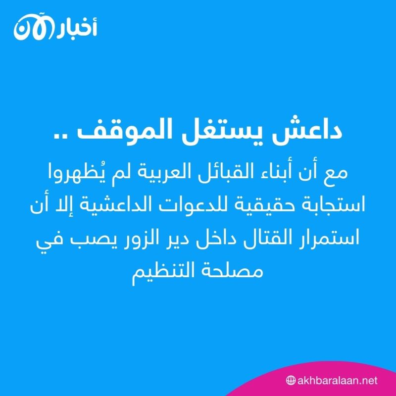 بين بيعة "القرشي" و"الهفل".. الاقتتال في دير الزور يشق صفوف أنصار داعش