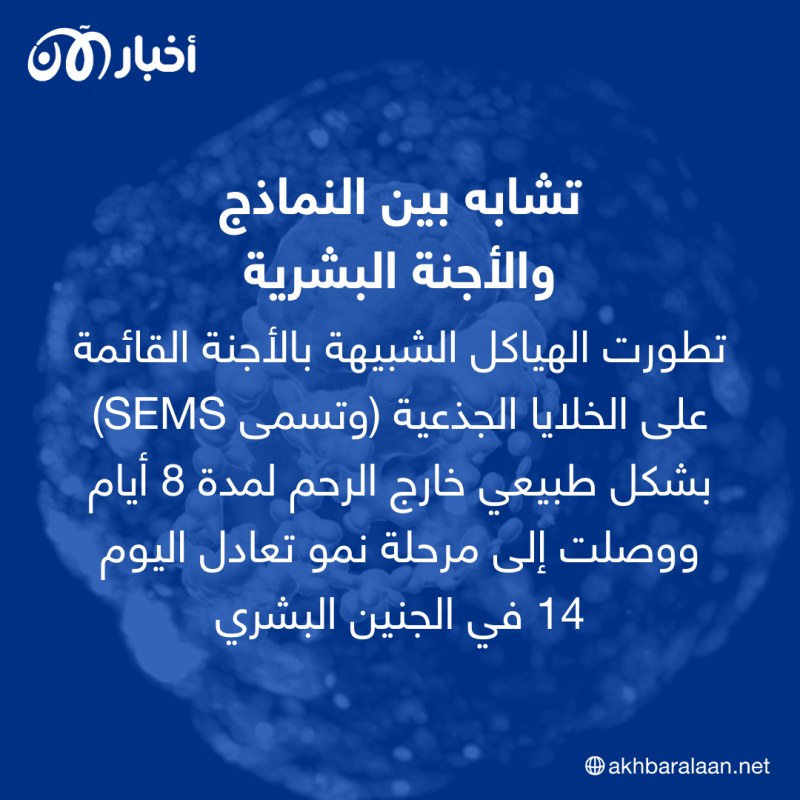 نجاح إنتاج "جنين بشري" دون بويضات أو حيوانات منوية.. "أخبار الآن" تكشف التفاصيل