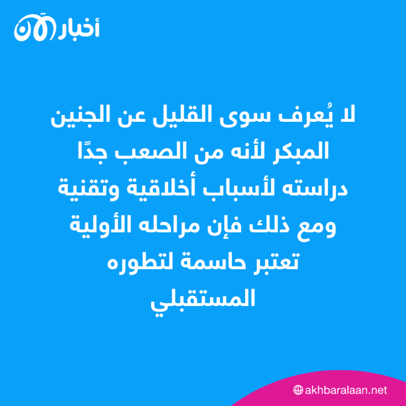 نجاح إنتاج "جنين بشري" دون بويضات أو حيوانات منوية.. "أخبار الآن" تكشف التفاصيل