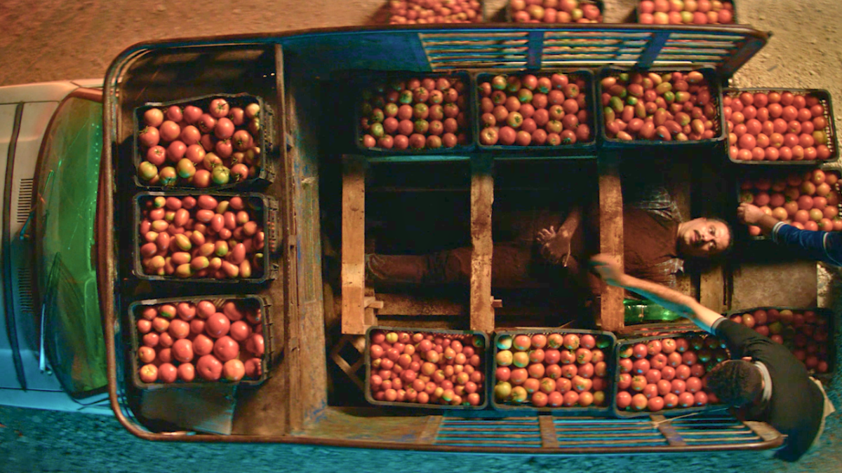 عمر هلال.. مُخرج "فوي فوي فوي" يكشف لـ "أخبار الآن" ماذا بعد الأوسكار؟ 5 عمر هلال.. مُخرج "فوي فوي فوي" يكشف لـ "أخبار الآن" ماذا بعد الأوسكار؟