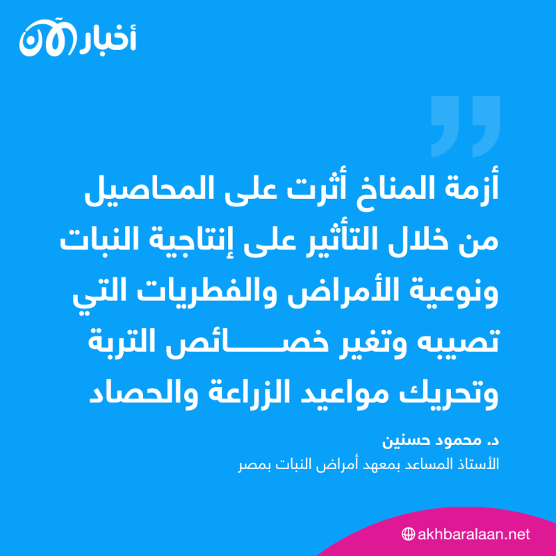 ارتفاع أسعار المحاصيل في الأشهر الأخيرة.. ضربات مؤلمة من أزمة المناخ