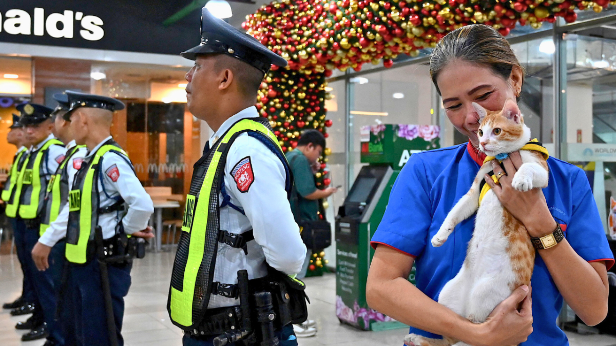 بهدف الحراسة والوناسة.. عناصر الأمن في الفلبين يتبنون القطط الضالّة