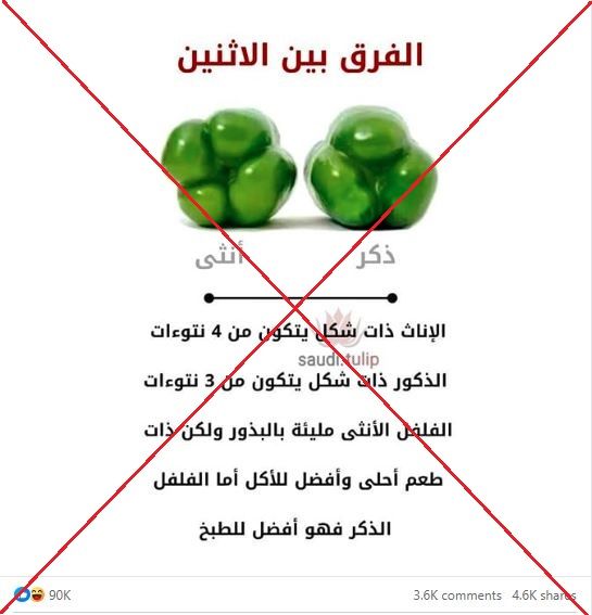 منشورات غزت السوشيال ميديا.. هل الفلفل ذكر وأنثى؟ 1 منشورات غزت السوشيال ميديا.. هل الفلفل ذكر وأنثى؟