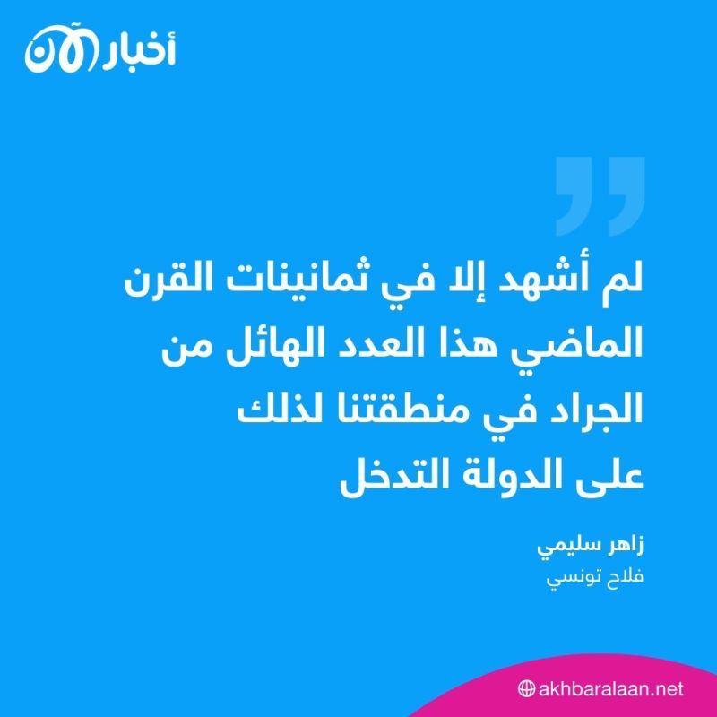 بعد غزو البق فرنسا.. هذه الحشرة تظهر بشكل كبير في تونس