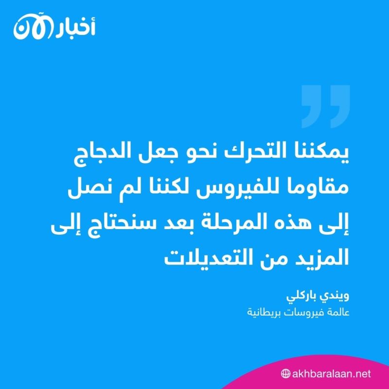 هل نودّع أنفلونزا الطيور قريباً؟ علماء يحدثون طفرة في مكافحة الفيروس 2 هل نودّع أنفلونزا الطيور قريباً؟ علماء يحدثون طفرة في مكافحة الفيروس