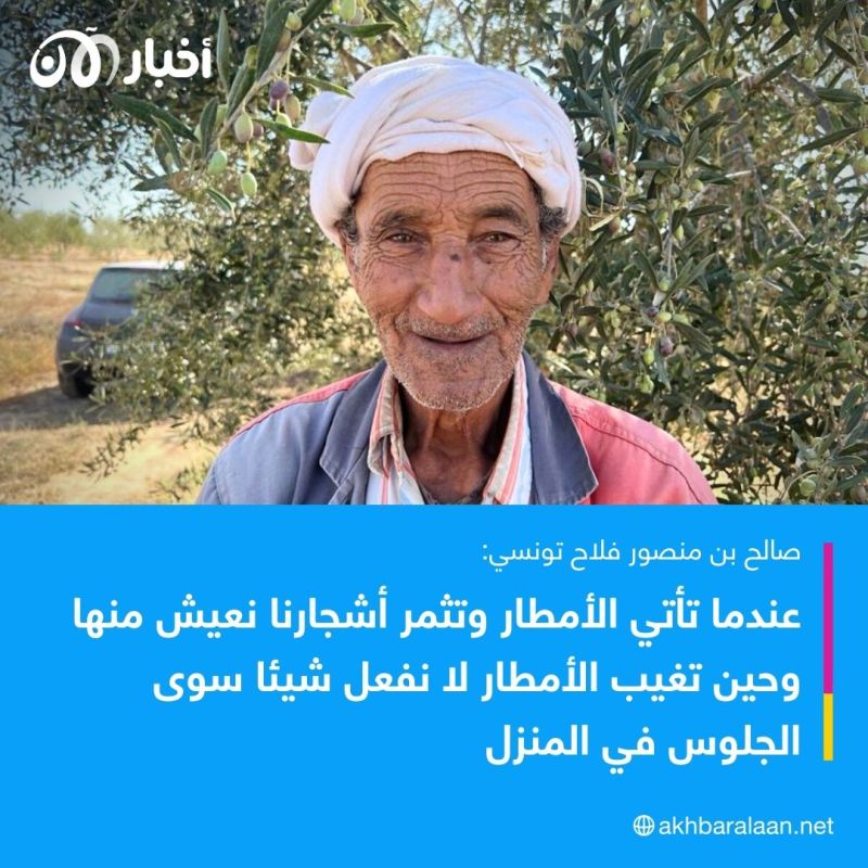 الجفاف يعصف بالزيتون التونسي.. فلاحون لأخبار الآن: "إذا مات الزيتون متنا نحن"